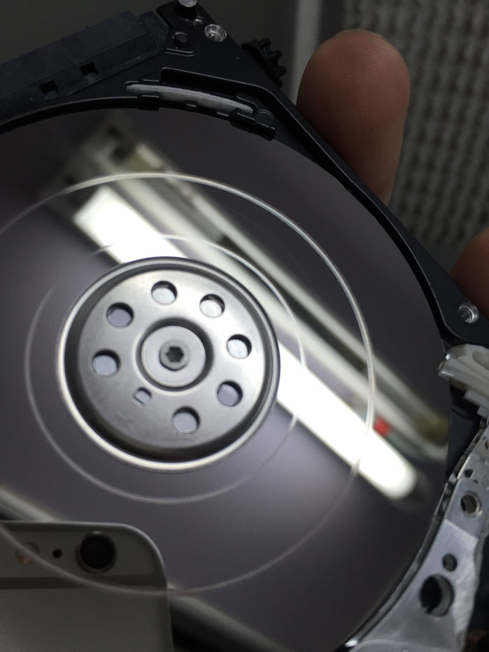 WD���������ƶ�Ӳ��ˤ������